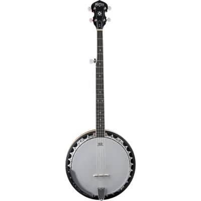 Washburn Americana 5-String Resonator Banjo w/ Floral Fingerboard Inlay image 1
