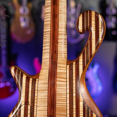 Shawn May Custom Rainbow 6-String Short Scale Bass image 12