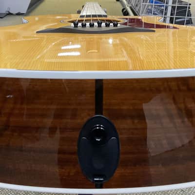 Taylor 214ce DLX 2018 image 10
