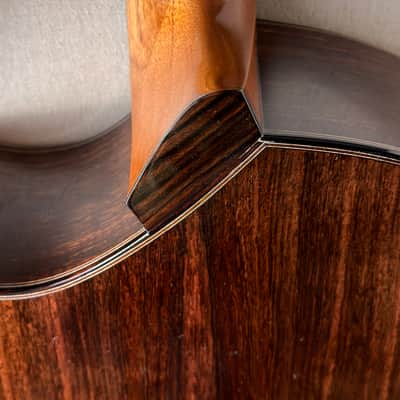 Keisuke Fujii Jazz Nylon with Carlos VIP-DM System image 10