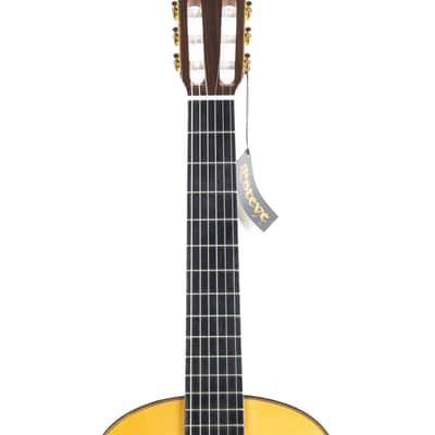 Estevé Alegria - All solid wood - Lattice Braced, Spruce/Indian Rosewood image 13