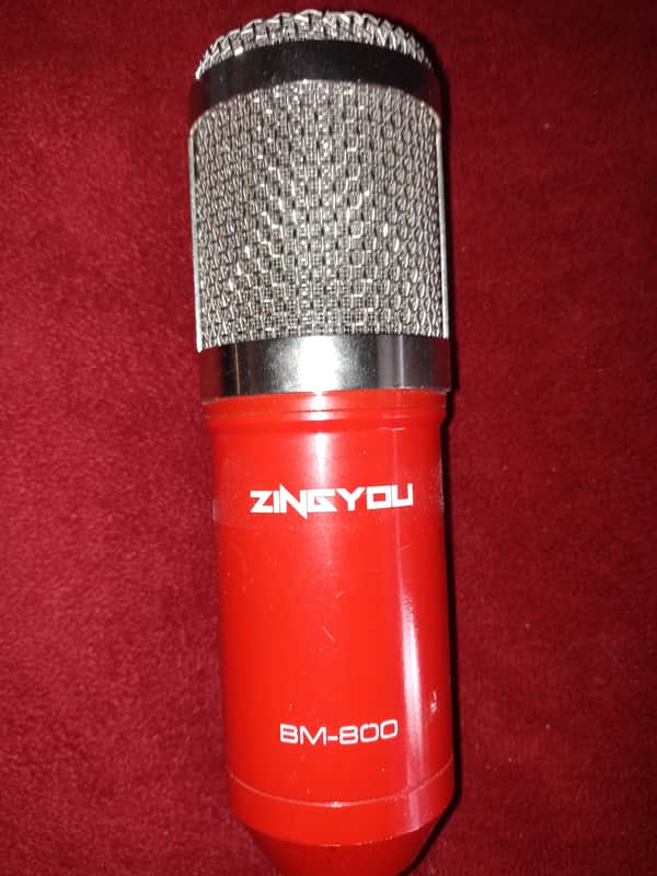 Condenser mic image 1