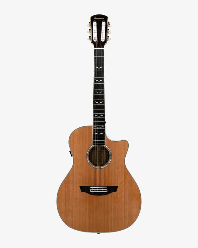 Orangewood Mason Live Nylon-String Guitar image 1