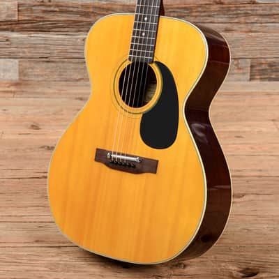 Epiphone FT-120 Natural 1970s image 2