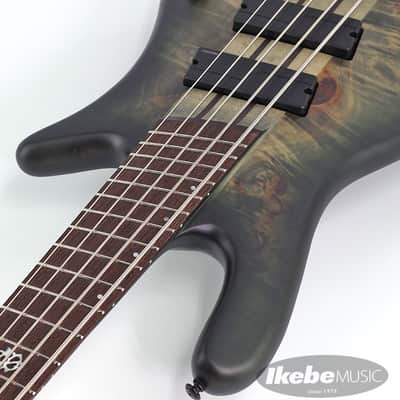SPECTOR NS Dimension MS 5 - Haunted Moss image 9