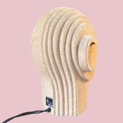 AKG D 99 C "Harry" Binaural Dynamic Microphone 1975 - 1977 - Tan image 6