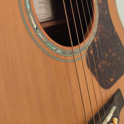 2012 Walden Natura G630CE Acoustic-Electric + Gig Bag image 7