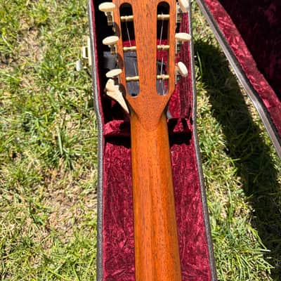 Taylor 712 12-Fret 2014 fall LTD image 9