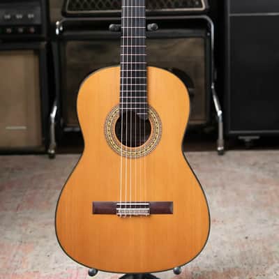 Jose Marques Tradicional Classical Guitar - Brazilian Rosewood with Hardshell Case image 2