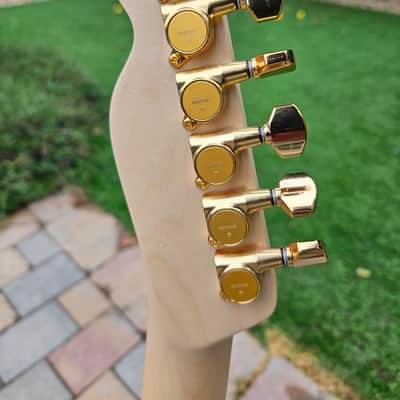Richie Kotzen Fender Telecaster image 4