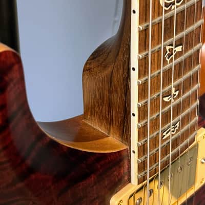 PRS 25th Anniversary Modern Eagle II Tremolo 2010 - Angry Larry image 11