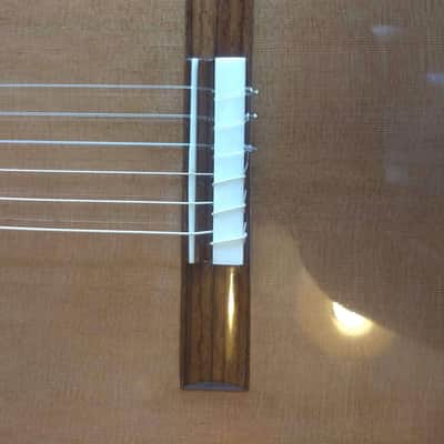 Kenneth Hill Performance Model 2015 Schellack, cedar, Indian rosewood, image 8