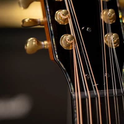 Taylor Next Generation PS54ce Presentation Series 12-String Grand Auditorium Acoustic/Electric Guitar - Honduran Rosewood/Adirondack Spruce with Hardshell Case image 6