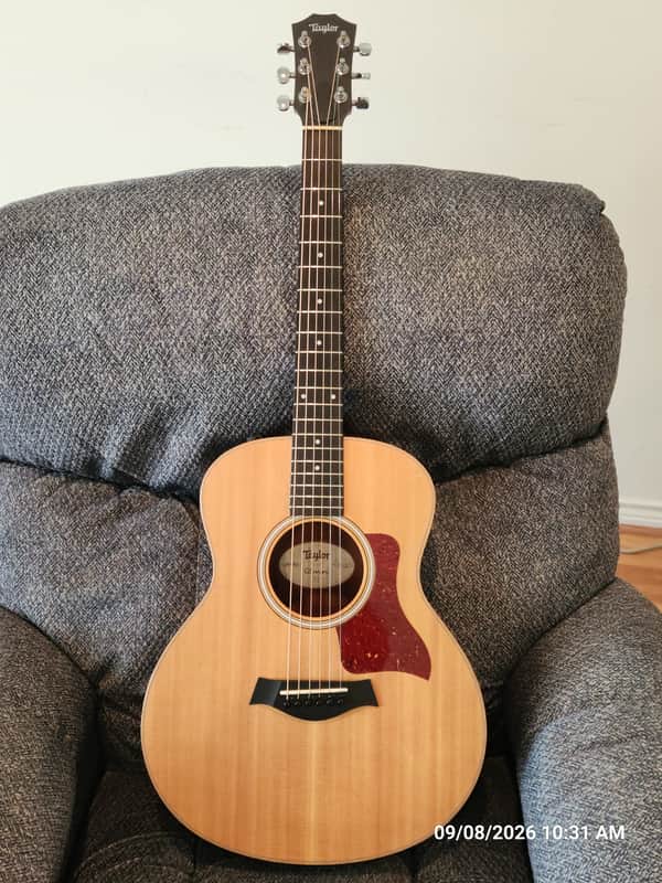 Taylor GS Mini-e