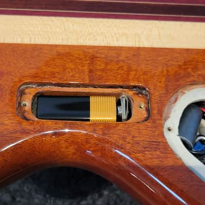2009 Alembic Darling - Zebrawood With OHSC image 21