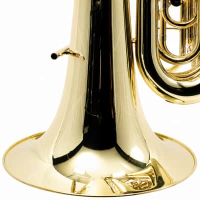 Eastman EBB534 Professional BBb 4/4 Tuba in Clear Lacquer SN Y2600055 image 17