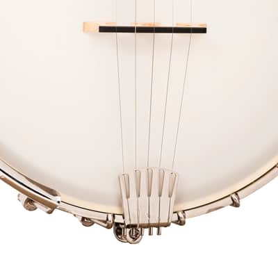Gold Tone CB-100: Clawhammer Banjo with Gig Bag image 24