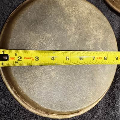 New Tropical Music - Bongo Head Replacement 8” - Natural Skin image 8