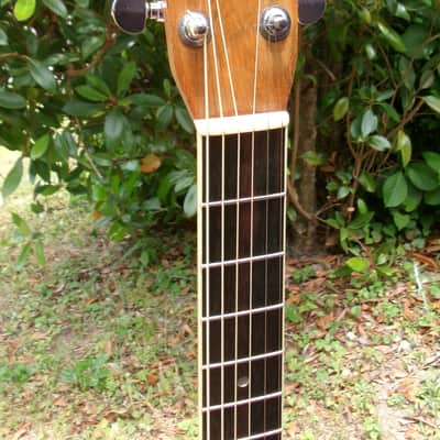 1976 Yairi YW-500P D-35 style image 5