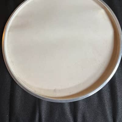 Gold Tone EarthTone 12" Calf Head image 2