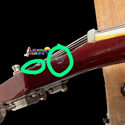 Epiphone Professional EA-7P Outfit 1963 image 13