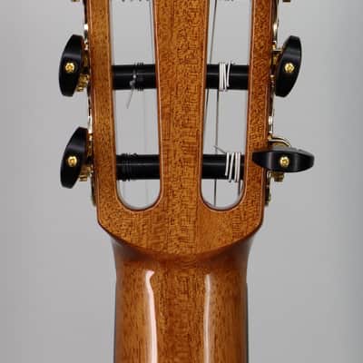 Cordoba C9 Cedar Top Nylon String image 5