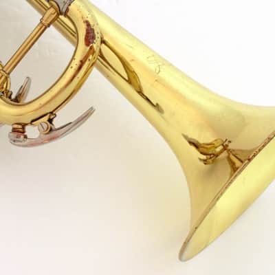 swallowトランペット50LN Swallow 50LN | Reverb