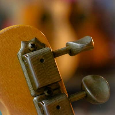 Fender Custom Shop Telecaster 1954 Journeyman Relic - Maple Fingerboard, Aged Nocaster Blonde image 16