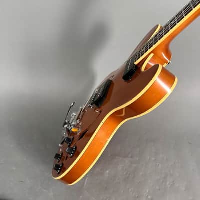 Stanford CR Thinline 30 VB 2,8 kg P90 Bigsby Tremolo inkl. original Koffer imagen 8