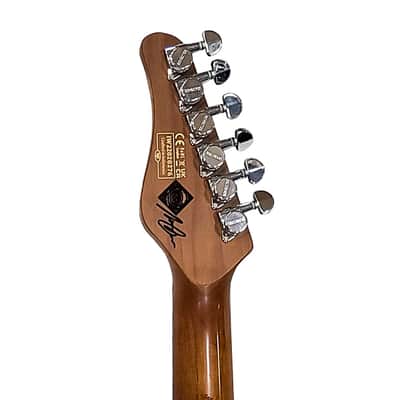 SCHECTER NICK JOHNSTON PT - ATOMIC SNOW image 6