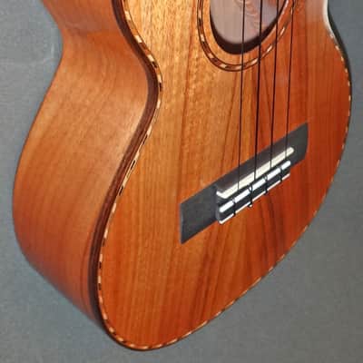 Kamaka HF-3D Deluxe 100th Anniversary Tenor Ukulele image 6