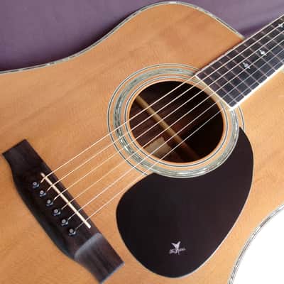 1979 Yairi YW-500P D-35 style + New Gig Bag plus more image 21