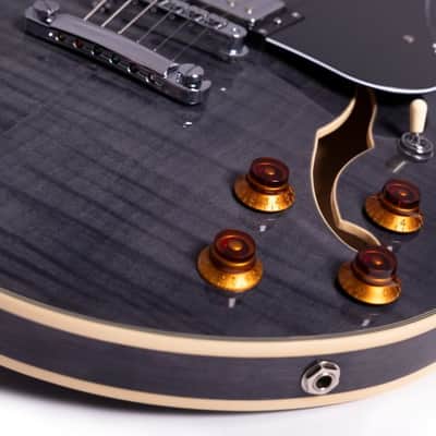 Washburn SH35TB Wing Series Semi Hollow Electric Guitar w/Gigbag, Trans Black image 23