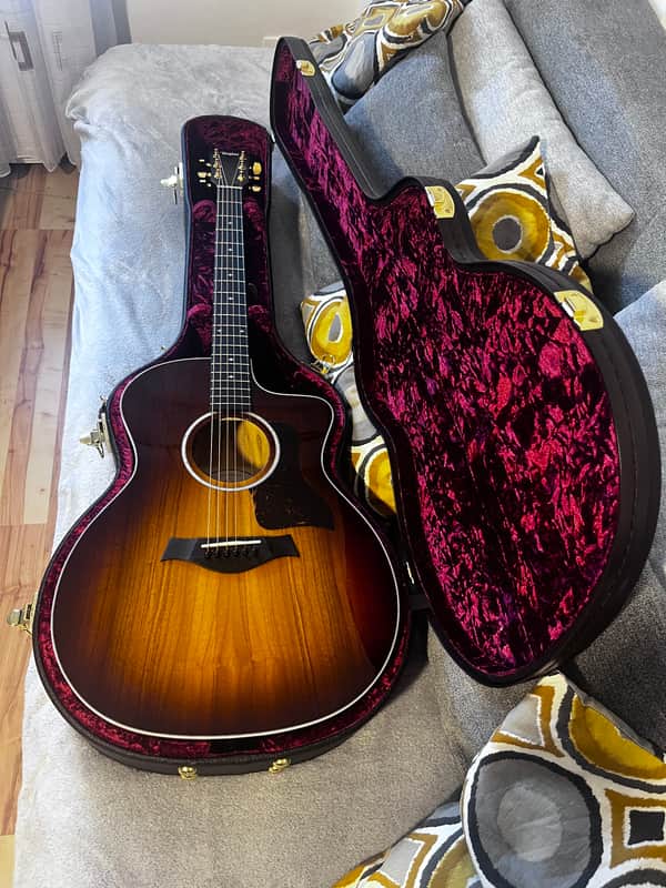 Taylor 224ce UA DLX LTD 2022 image 1