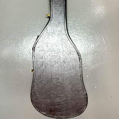 Unbranded Bass Hard Case (Used) image 1
