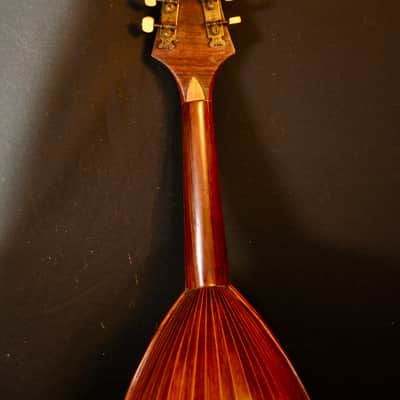 Vintage 1925 Prof. Raffaele Calaci Mandolin image 20