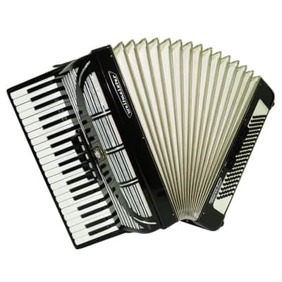 Weltmeister Seperato Standard Accordion 120 Bass, made in Germany, New Straps and Soft Bag for Gift, 2435, Piano Accordian for Adults, Rich and Powerful sound! image 2