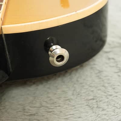 2008 Gibson Les Paul "Inspired By" Joe Bonamassa Goldtop image 22