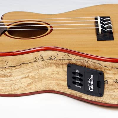 Cordoba 24T-CE Tenor Single Cutaway Acoustic-Electric Ukulele Cedar/Maple #32759 image 8