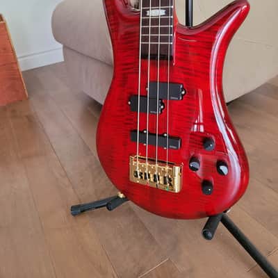 Spector Euro 4LX 2023 - Black Cherry Gloss image 2