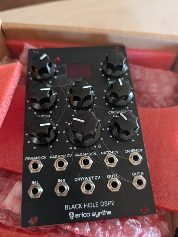 Erica Synths Black Hole DSP 2 2014 - Present - Black image 1
