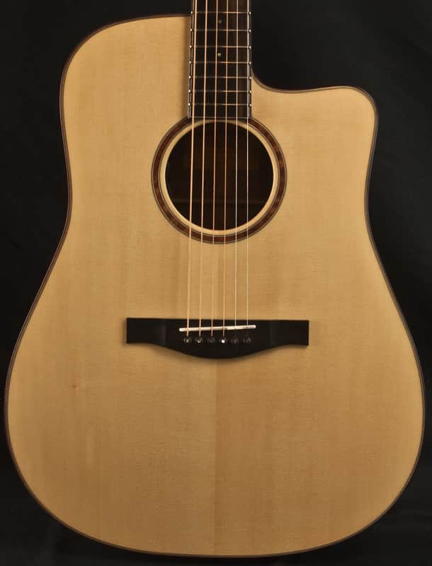 Eastman AC520CE Rare Acoustic Guitar 11035185 image 1