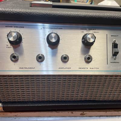 Fender rEcho Reverb III Oil Can Delay Late 60’s image 3