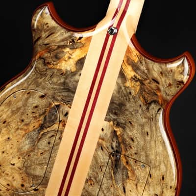 Alembic Stanley Clarke Deluxe - Buckeye Burl image 12