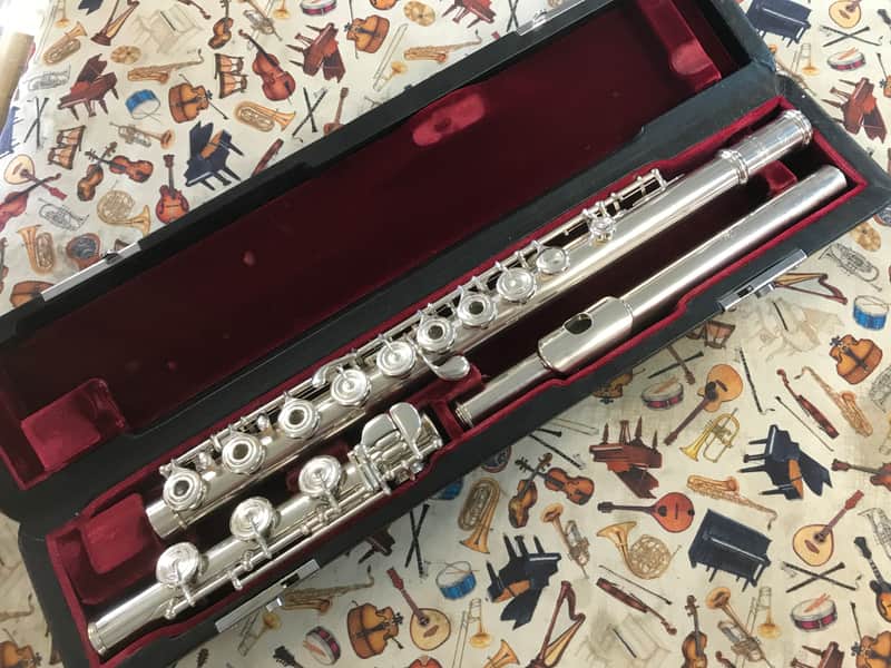 Altus 1207SRB Professional C Flute Open-Holes, B-Foot Solid Silver image 1
