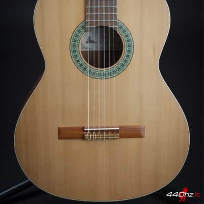 Paco Castillo 201 M Matte Finish Classical Guitar image 1