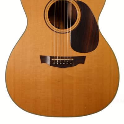 Parkwood PW320M Folk Size Acoustic/Electric Guitar w/ Gig Bag – Used - Natural Satin Finish image 2
