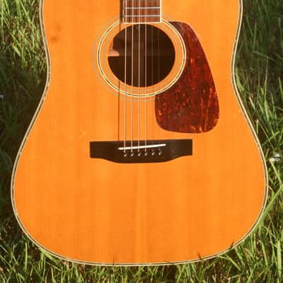 Morris TF-60 D size Guitar Jacaranda Body 1990's - Natural+Hard Case FREE image 3