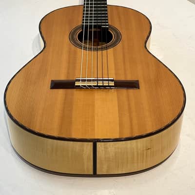 2000 Michael Gee Acoustic Flamenco Guitar - Professional Grade with Case image 11