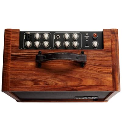 Taylor Circa 74 Amp - Koa (C7405044) image 6